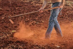 SEO para Agricultura